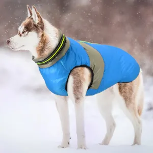 Doggies Merch® Winter/Autumn Jackets