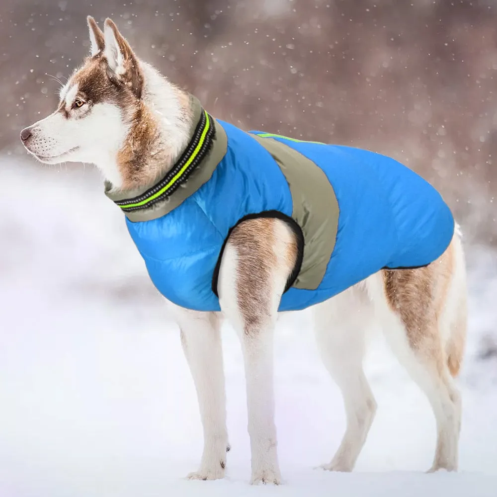 Doggies Merch® Winter/Autumn Jackets