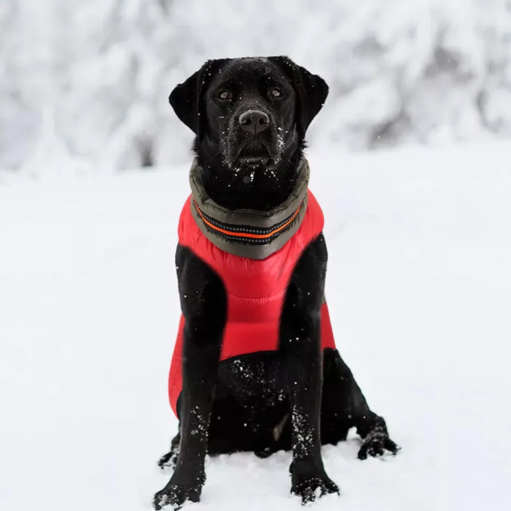 Doggies Merch® Winter/Autumn Jackets