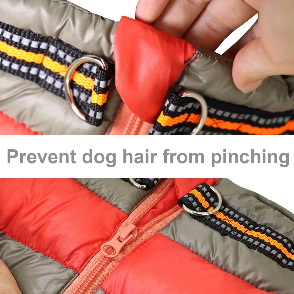 Doggies Merch® Winter/Autumn Jackets