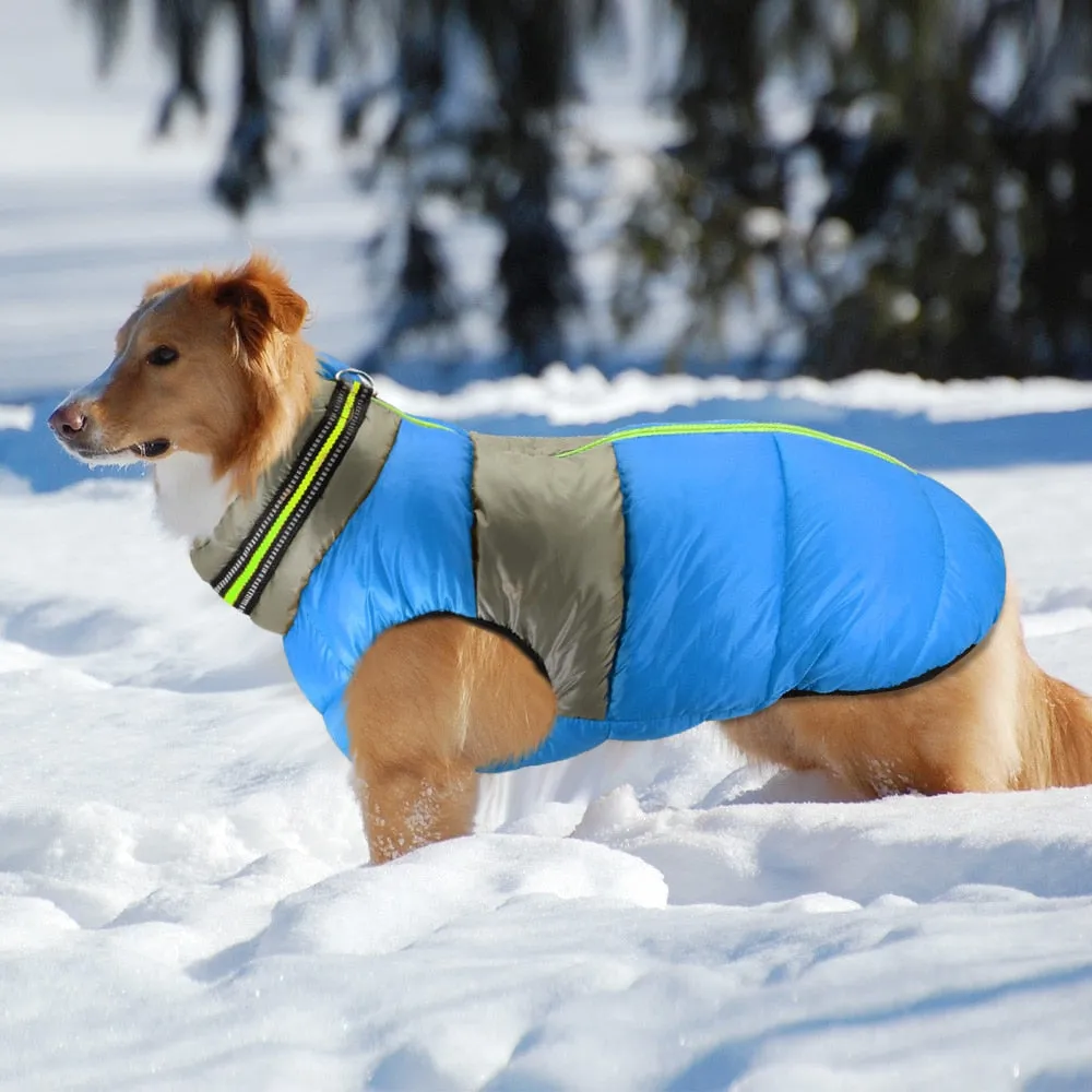 Doggies Merch® Winter/Autumn Jackets