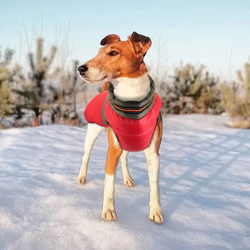 Doggies Merch® Winter/Autumn Jackets