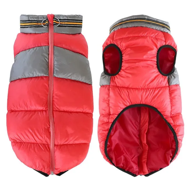 Doggies Merch® Winter/Autumn Jackets